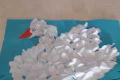 IMG-20200609-WA0015