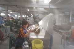 IMG-20190917-WA0053