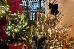 IMG_20251203_104204