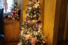 IMG_20251203_111926