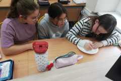 IMG-20251103-WA0031