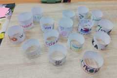 IMG-20251103-WA0035