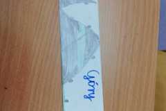 IMG-20251103-WA0041