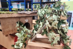 IMG_20241021_085023