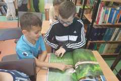 IMG-20250307-WA0000