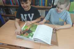 IMG-20250307-WA0004