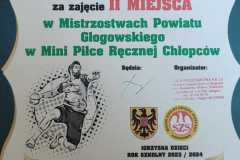 Zdjecie-WhatsApp-2024-03-13-o-08.26.56_f2ec548d