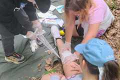IMG-20260528-WA0003