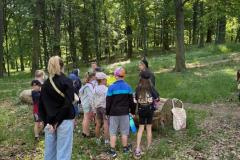 IMG-20260528-WA0026