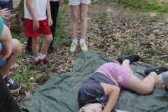 IMG-20260528-WA0055