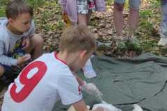 IMG-20260528-WA0056