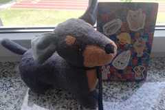 IMG-20250625-WA0011