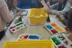 IMG-20241018-WA0011