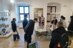 IMG_20260306_092212