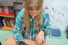 IMG_20241025_103147