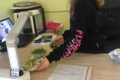 L.P.-październik-lekcja przyrody