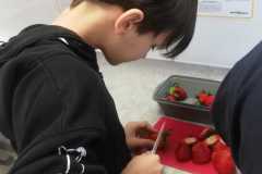 IMG-20250414-WA0014