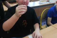 IMG-20251128-WA0026