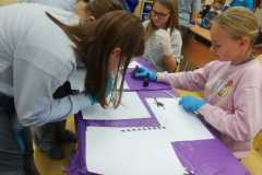 IMG-20251128-WA0032