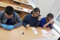 IMG-20251128-WA0037