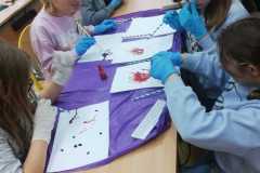 IMG-20251128-WA0038