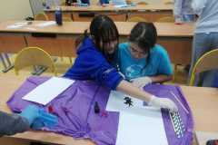 IMG-20251128-WA0039