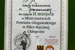 Mistrzostwa Powiatu Głogowskiego w Piłce Ręcznej Chłopców klas 7–8