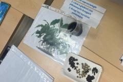 IMG-20250828-WA0030