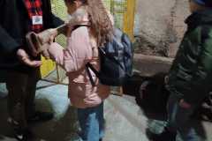 IMG-20251119-WA0020