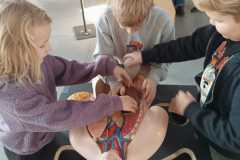IMG-20251119-WA0036