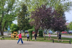 IMG_20240510_095316
