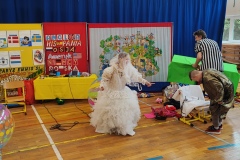 IMG_20240422_095535
