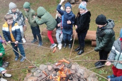 IMG_20231106_105349