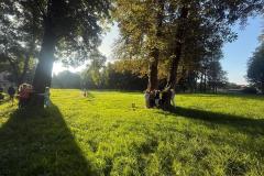 Przytul się do drzewa!