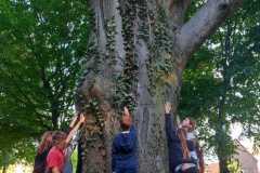 IMG-20250919-WA0011