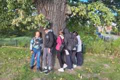 IMG-20250925-WA0049