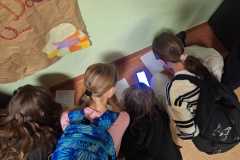 Zdjecie-WhatsApp-2024-12-02-o-16.03.28_cd50b8e0