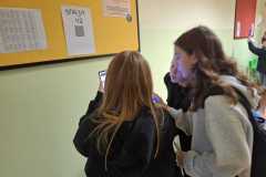 Zdjecie-WhatsApp-2024-12-02-o-16.03.29_b40443b2