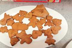 IMG-20221206-WA0021
