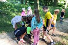 IMG-20240529-WA0012