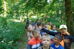 IMG-20240529-WA0014