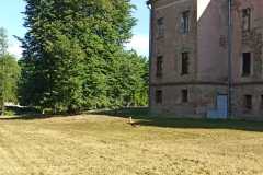 IMG-20240529-WA0015
