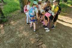 IMG-20240529-WA0063