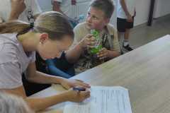 IMG-20240529-WA0113