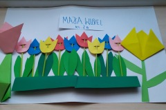 Szkolne Koło Origami
