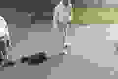 Messenger_creation_715C87B3-DFF9-400B-A24A-73C37BAFD57E