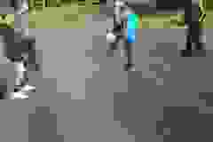 Messenger_creation_ED9CD04A-D6B9-4994-80CC-70322906E88F