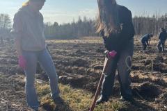 IMG-20250321-WA0029