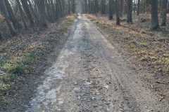 Zdjecie-WhatsApp-2025-03-21-o-15.09.40_61c474d6