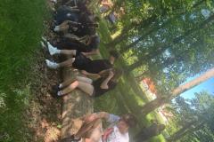 IMG-20260525-WA0003